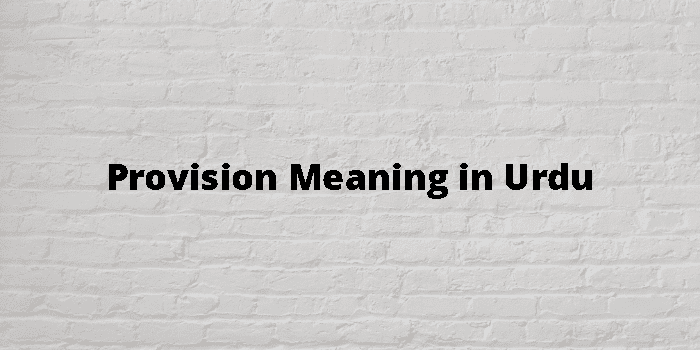 provision of service meaning in urdu