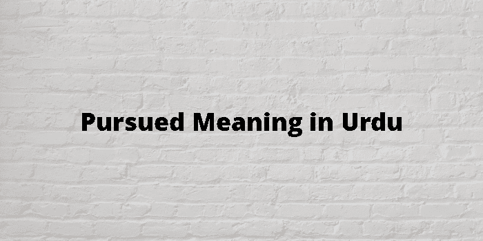 Pursued Meaning In Urdu - اردو معنی