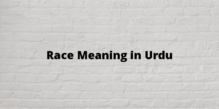 race-meaning-in-urdu