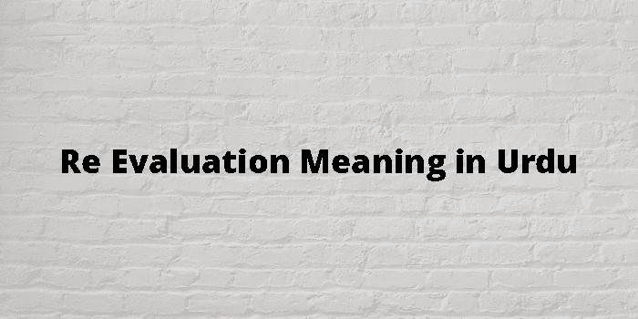Re Evaluation Meaning In Urdu - اردو معنی