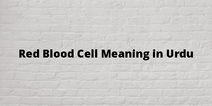 red-blood-cell-meaning-in-urdu