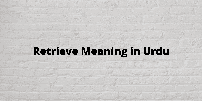 retrieve-meaning-in-urdu