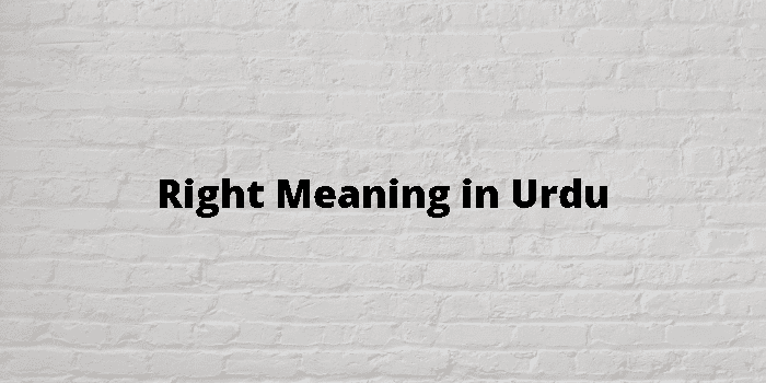 right-meaning-in-urdu