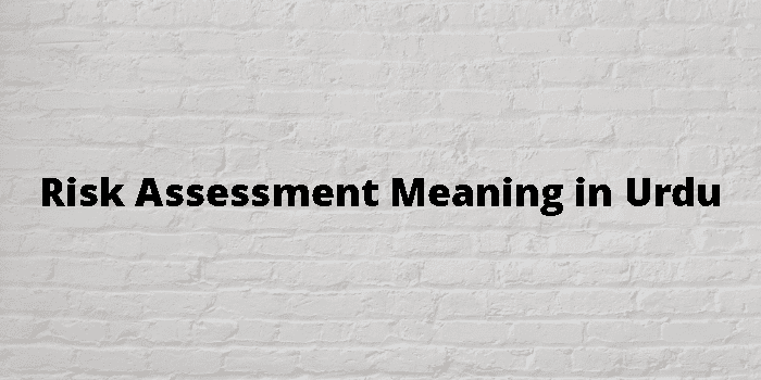 risk-assessment-meaning-in-urdu