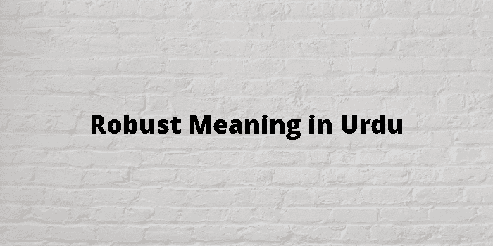 robust-meaning-in-urdu