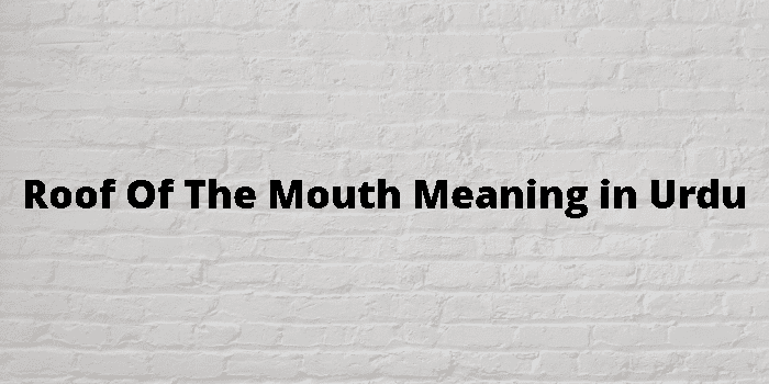 roof-of-the-mouth-meaning-in-urdu