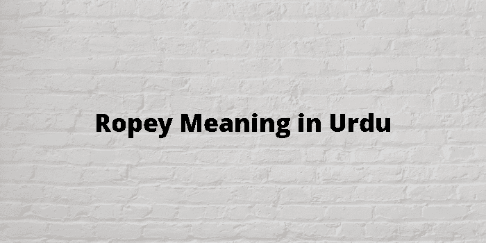 Ropey - Definition, Meaning & Synonyms