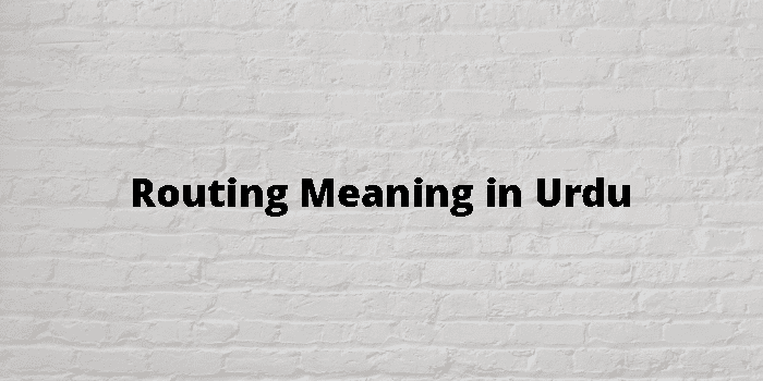 routing-meaning-in-urdu