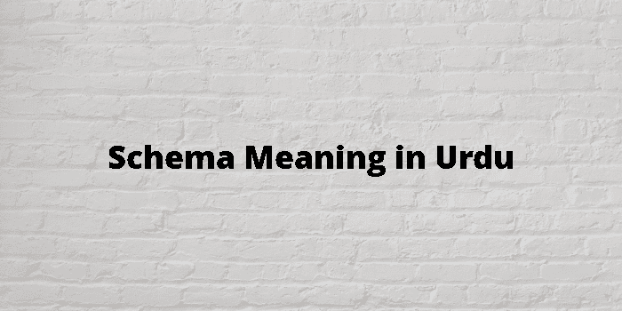 schema-meaning-in-urdu