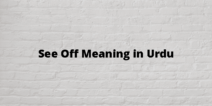 see-off-meaning-in-urdu