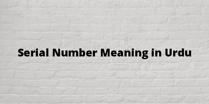 serial-number-meaning-in-urdu