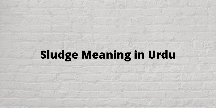 Sludge Meaning In Urdu