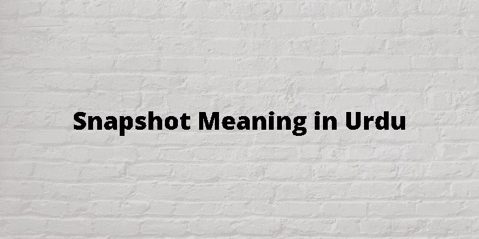 snapshot-meaning-in-urdu