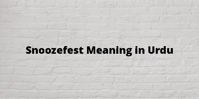 snoozefest-meaning-in-urdu