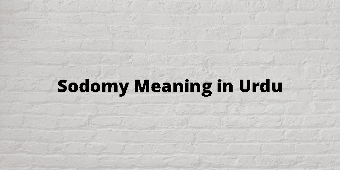 sodomy-meaning-in-urdu