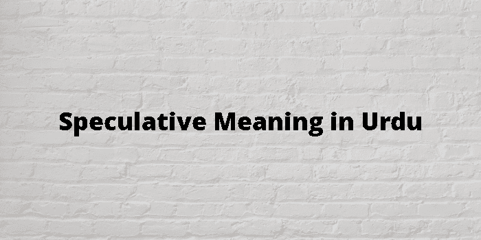 speculative-meaning-in-urdu