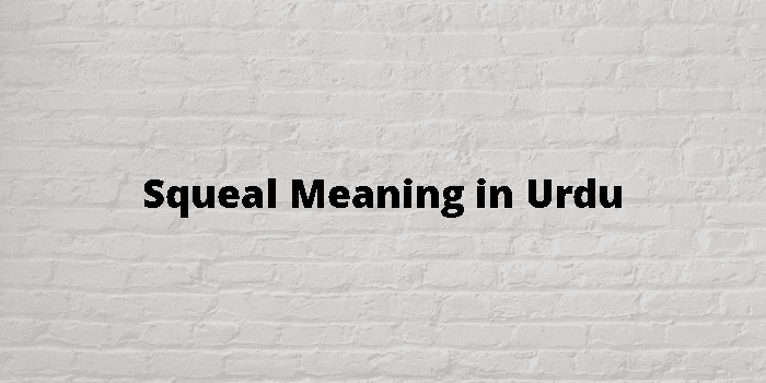 squeal-meaning-in-urdu