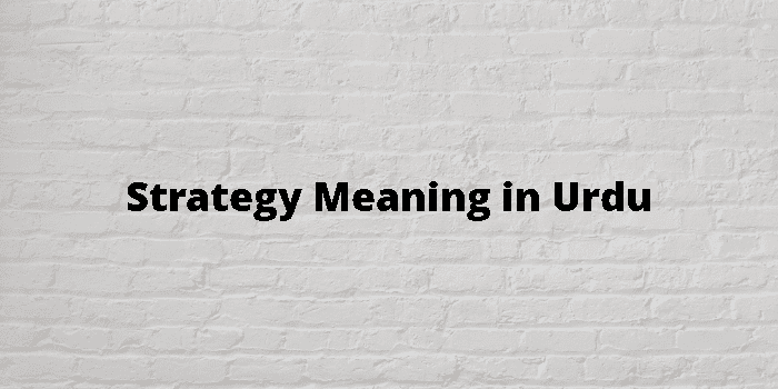 strategy-meaning-in-urdu