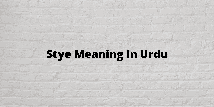 Stye Meaning In Urdu - اردو معنی
