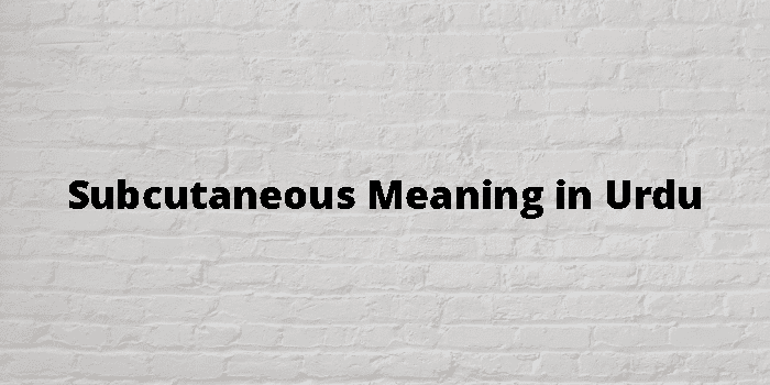 subcutaneous-meaning-in-urdu