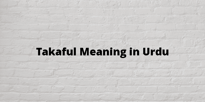 takaful-meaning-in-urdu