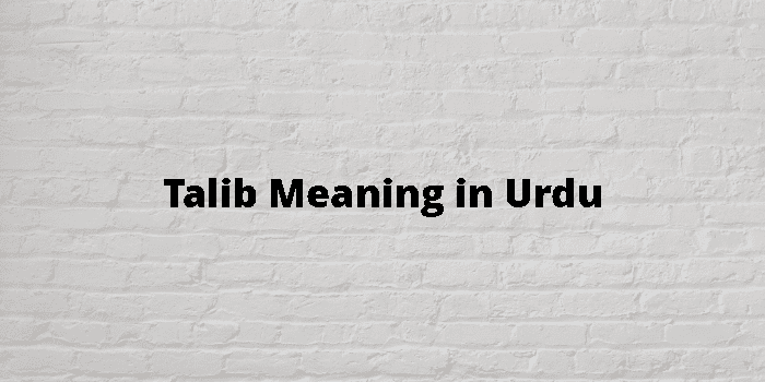 Talib Meaning In Urdu - اردو معنی