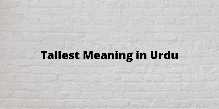 tallest-meaning-in-urdu