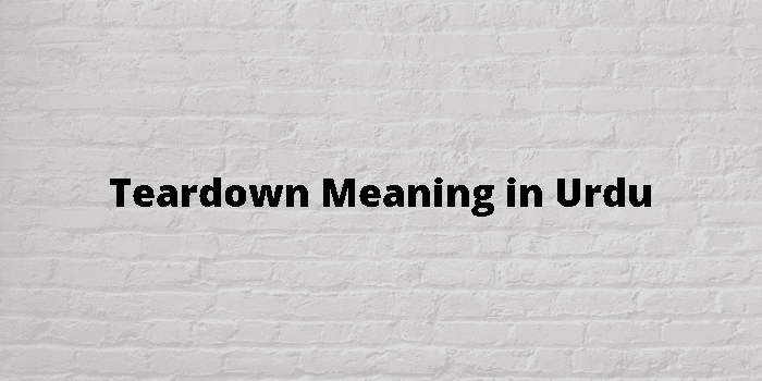 teardown-meaning-in-urdu