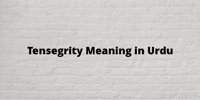 tensegrity-meaning-in-urdu