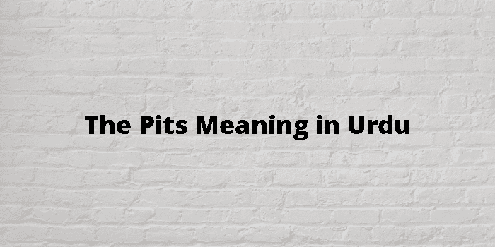 The Pits Meaning In Urdu - اردو معنی