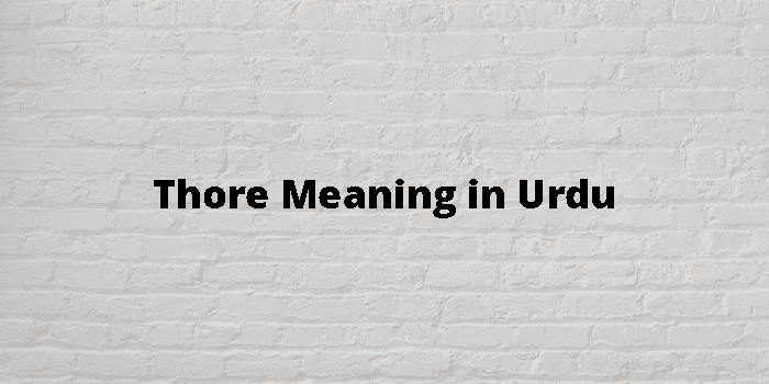 thore-meaning-in-urdu