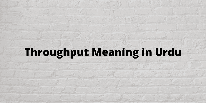 throughput-meaning-in-urdu