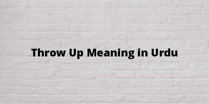 throw-up-meaning-in-urdu