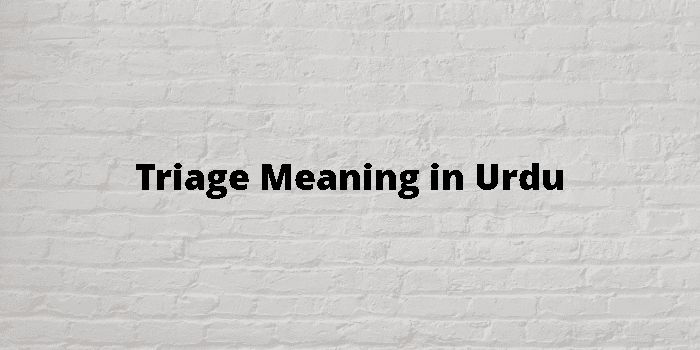 triage-meaning-in-urdu