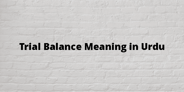 trial-balance-meaning-in-urdu