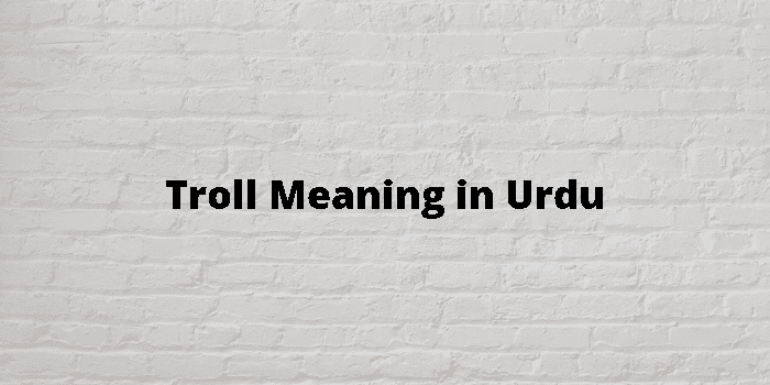 Trolling Meaning In Urdu, Pherna پھیرنا