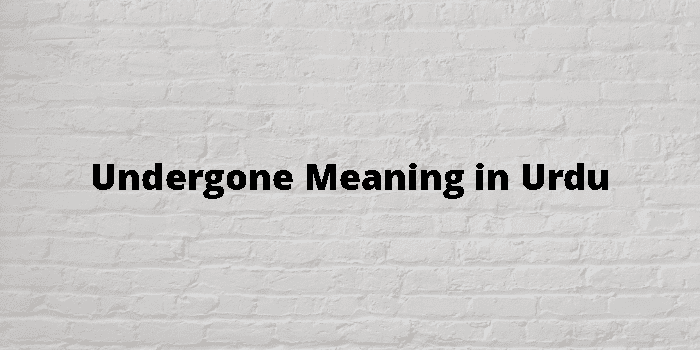 Undergone Meaning In Urdu - اردو معنی