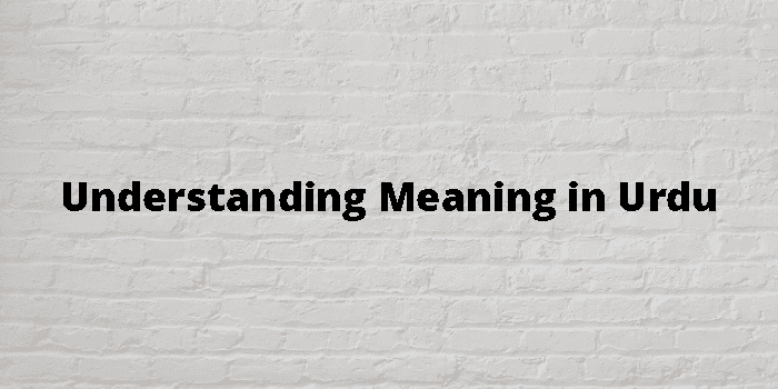 understanding-meaning-in-urdu