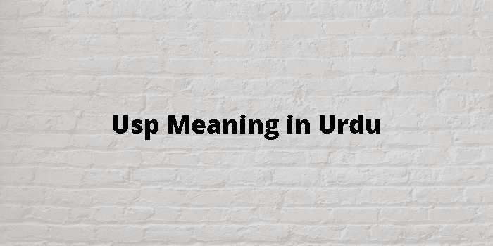 usp-meaning-in-urdu