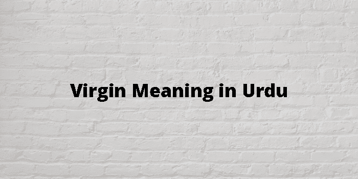 Virgin Meaning In Urdu - اردو معنی