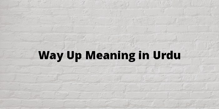 way-up-meaning-in-urdu