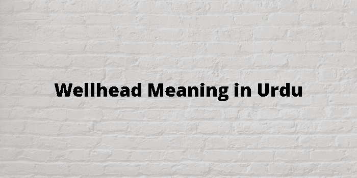 wellhead-meaning-in-urdu