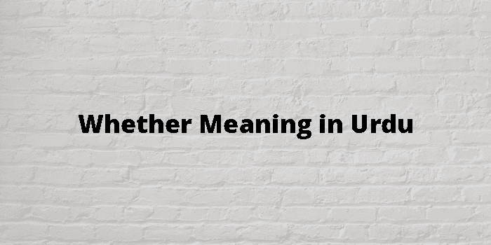 whether-meaning-in-urdu