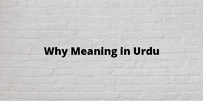 why-meaning-in-urdu