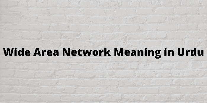 wide-area-network-meaning-in-urdu