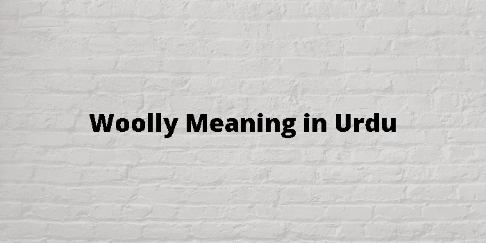 Woolly Meaning In Urdu