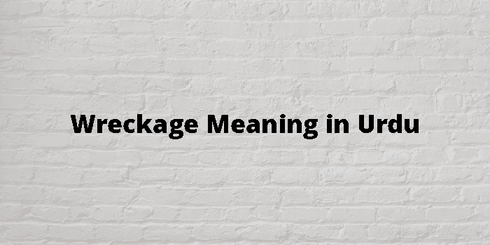 Wreckage Meaning In Urdu