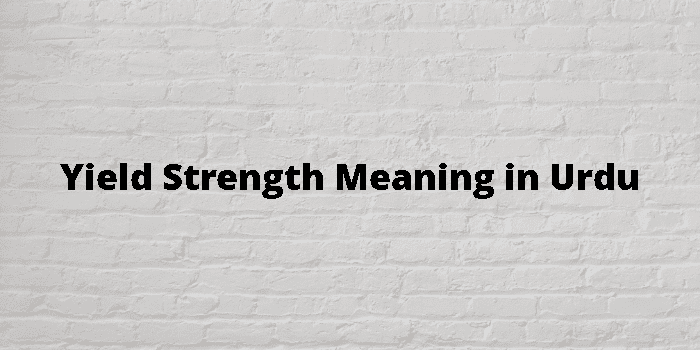 strength meaning in urdu