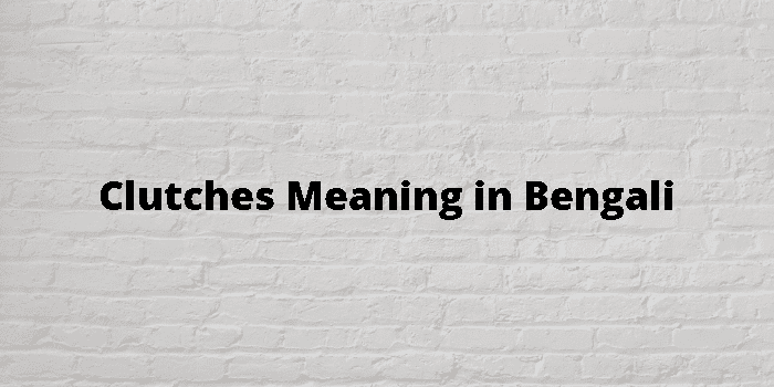 Clutches Meaning In Bengali - বাংলা অর্থ