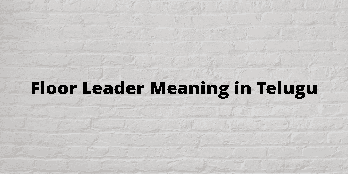 Floor Leader Meaning In Telugu